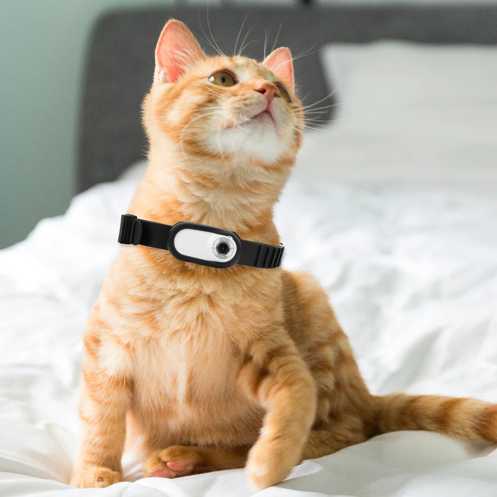 Wireless Camera Collar for Cats & Dogs