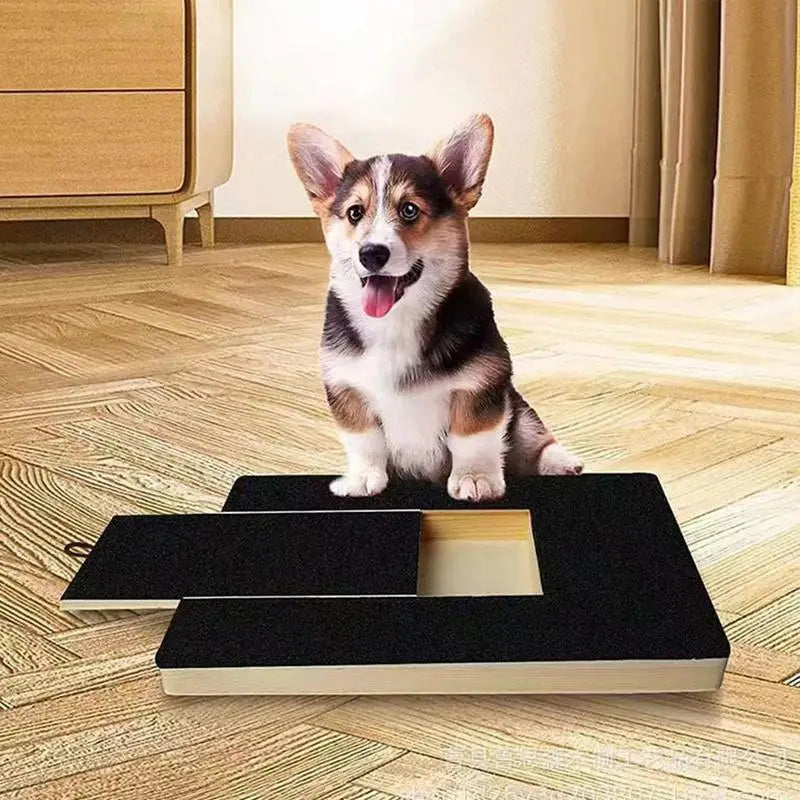 Scratching Board