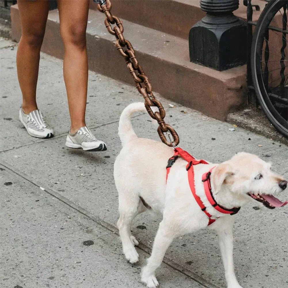 Dog Chain Leash