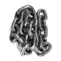 Dog Chain Leash